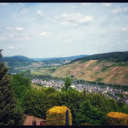 Apartamento Gemütliches Mit Moselblick