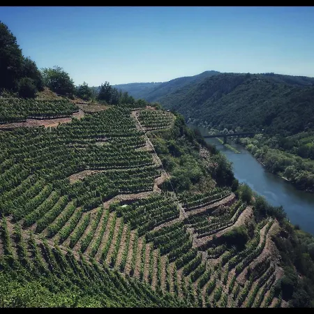 Apartamento Gemütliches Mit Moselblick Reil