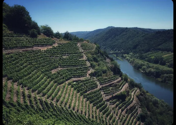 דירה Gemuetliches Mit Moselblick רייל